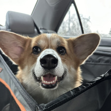 Katrina Roxas-Hepper