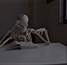 The reading skeleton