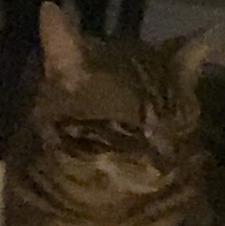Massimo