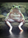 A.Frog.Named.Fred