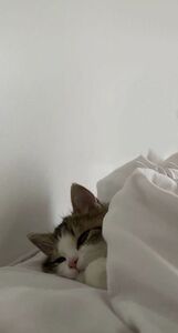 Min Min