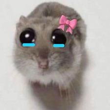 Sam 