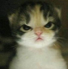 Suki