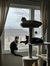 new yor...
