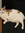 member photo member photo