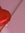 Arwa✨️♡