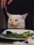 Salad Cat