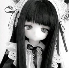 Dove