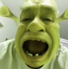 shrek