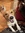 Maggie