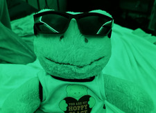 ࠬ ׅ ໑ ₊ louise! ˚.⋆