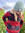 Joscelin (joscelineberle) | 53 comments