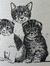 is