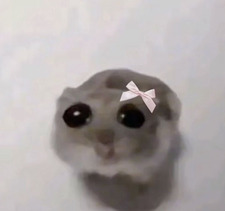 ari