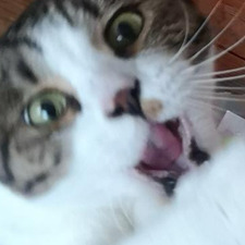 Em