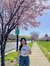 Thanh