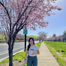 Thanh