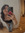Lauren Camorlinga
