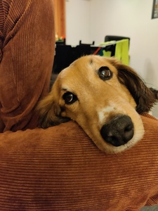 Kimy