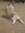 Jeanna