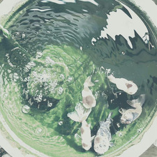 vivian ੈ✩‧₊˚