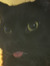 Em