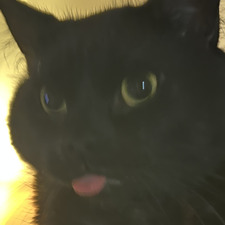 Em