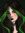 Freyia KKK | 1 comments