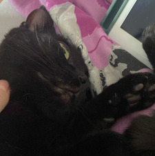 Zoe