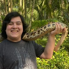 William Vasconcelos-Opt