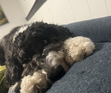 Patrick John Griffin