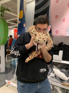 Lorenzo Bertolaccini