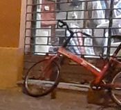 Μικαέλα Παπανικολάου