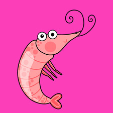 Shrimp & Doodle
