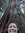Sequoia
