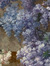 Ophelia...