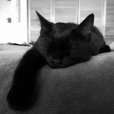 ⋆౨ৎ˚ ana  ⟡˖ ࣪