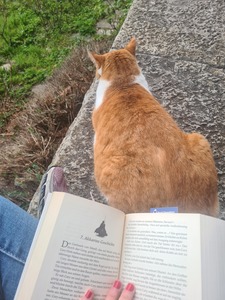 TheReadingPhoenix