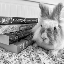 readingbunny