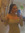 Jillian | 4 comments