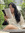 Karina Yun | 2 comments
