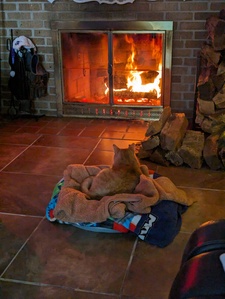 ✨ ੈ✩‧April ♡ ʚ♡⃛ɞ✨