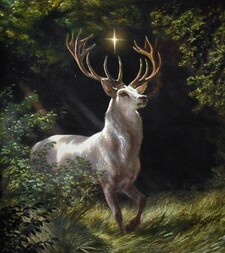White Stag