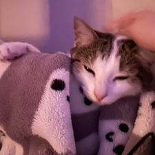 jenna ⋆ ˚｡⋆౨ৎ˚