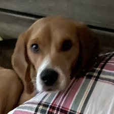 Christopher  Kirfman