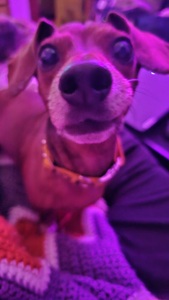 Alex