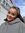 Alicea
