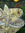 member photo member photo