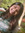 member photo member photo