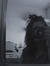 mel ✩°｡⋆⸜ ✮ (the95bookworm)